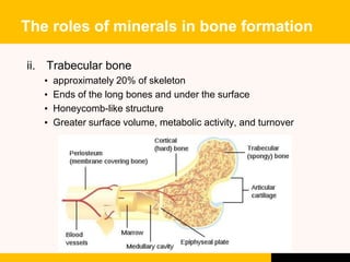 Bone Roles NDD30503: NUTRITION FOR SPORTS AND EXERCISE | PPTX