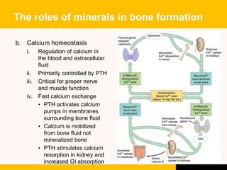 NDD30503: NUTRITION FOR SPORTS AND EXERCISE | PPTX