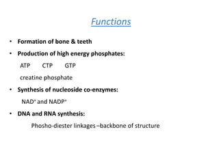 Functions
• Formation of bone & teeth
• Production of high energy phosphates:
ATP CTP GTP
creatine phosphate
• Synthesis of nucleoside co-enzymes:
NAD+ and NADP+
• DNA and RNA synthesis:
Phosho-diester linkages –backbone of structure
 