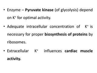 • Enzyme – Pyruvate kinase (of glycolysis) depend
on K+ for optimal activity.
• Adequate intracellular concentration of K+ is
necessary for proper biosynthesis of proteins by
ribosomes.
• Extracellular K+ influences cardiac muscle
activity.
 
