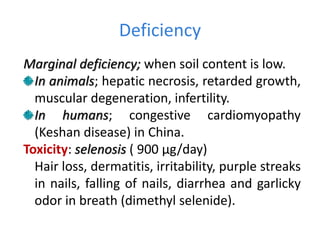 Deficiency
Marginal deficiency; when soil content is low.
In animals; hepatic necrosis, retarded growth,
muscular degeneration, infertility.
In humans; congestive cardiomyopathy
(Keshan disease) in China.
Toxicity: selenosis ( 900 µg/day)
Hair loss, dermatitis, irritability, purple streaks
in nails, falling of nails, diarrhea and garlicky
odor in breath (dimethyl selenide).
 