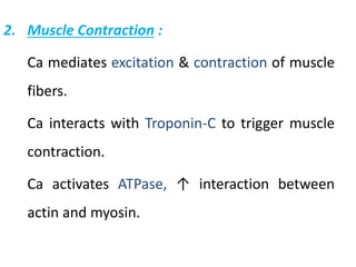 2. Muscle Contraction :
Ca mediates excitation & contraction of muscle
fibers.
Ca interacts with Troponin-C to trigger muscle
contraction.
Ca activates ATPase, ↑ interaction between
actin and myosin.
 