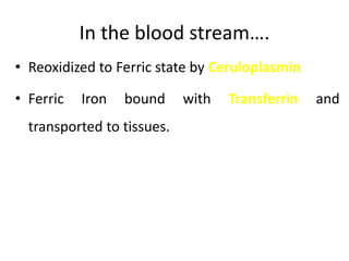 In the blood stream….
• Reoxidized to Ferric state by Ceruloplasmin
• Ferric Iron bound with Transferrin and
transported to tissues.
 