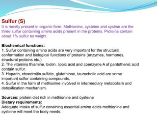 Sulfur (S)
It is mostly present in organic form. Methionine, cysteine and cystine are the
three sulfur containing amino acids present in the proteins. Proteins contain
about 1% sulfur by weight.
Biochemical functions:
1. Sulfur containing amino acids are very important for the structural
conformation and biological functions of proteins (enzymes, hormones,
structural proteins etc.)
2. The vitamins thiamine, biotin, lipoic acid and coenzyme A of pantothenic acid
contain sulfur.
3. Heparin, chondroitin sulfate, glutathione, taurocholic acid are some
important sulfur containing compounds.
4. Sulfur in the form of methionine involved in intermediary metabolism and
detoxification mechanism.
Sources: protein diet rich in methionine and cysteine
Dietary requirements:
Adequate intake of sulfur conaining essential amino acids methionine and
cysteine will meet the body needs
 
