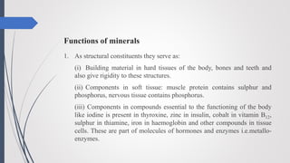 Functions of minerals
1. As structural constituents they serve as:
(i) Building material in hard tissues of the body, bones and teeth and
also give rigidity to these structures.
(ii) Components in soft tissue: muscle protein contains sulphur and
phosphorus, nervous tissue contains phosphorus.
(iii) Components in compounds essential to the functioning of the body
like iodine is present in thyroxine, zinc in insulin, cobalt in vitamin B12,
sulphur in thiamine, iron in haemoglobin and other compounds in tissue
cells. These are part of molecules of hormones and enzymes i.e.metallo-
enzymes.
 
