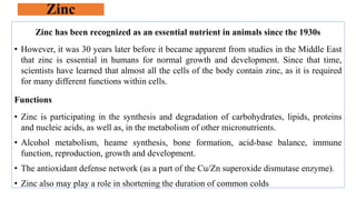 Zinc
Zinc has been recognized as an essential nutrient in animals since the 1930s
• However, it was 30 years later before it became apparent from studies in the Middle East
that zinc is essential in humans for normal growth and development. Since that time,
scientists have learned that almost all the cells of the body contain zinc, as it is required
for many different functions within cells.
Functions
• Zinc is participating in the synthesis and degradation of carbohydrates, lipids, proteins
and nucleic acids, as well as, in the metabolism of other micronutrients.
• Alcohol metabolism, heame synthesis, bone formation, acid-base balance, immune
function, reproduction, growth and development.
• The antioxidant defense network (as a part of the Cu/Zn superoxide dismutase enzyme).
• Zinc also may play a role in shortening the duration of common colds
 