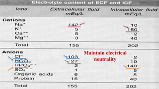 Maintain electrical
neutrality
 