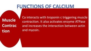 Ca interacts with troponin c triggering muscle
contraction. It also activates enzyme ATPase
and increases the interaction between actin
and myosin.
Muscle
Contrac
tion
 