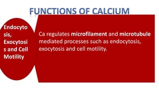 Ca regulates microfilament and microtubule
mediated processes such as endocytosis,
exocytosis and cell motility.
Endocyto
sis,
Exocytosi
s and Cell
Motility
 