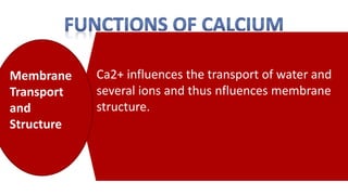 Ca2+ influences the transport of water and
several ions and thus nfluences membrane
structure.
Membrane
Transport
and
Structure
 