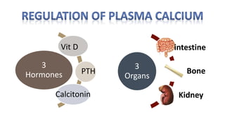 3
Hormones
Vit D
PTH
Calcitonin
3
Organs
intestine
Bone
Kidney
 