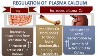 PTH
mobilises Ca
from bones
to blood,
bone
demineralisa
tion by ++
osteoclasts
Increases plasma Ca
Increases
absorption from
intestine by
Formatn of
active Vit D In
Kidney
Increases the
renal
reabsorption by
Formatn of
active Vit D In
Kidney
 