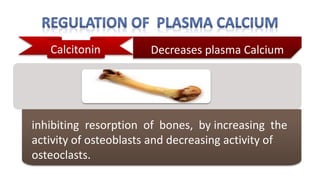 Calcitonin
inhibiting resorption of bones, by increasing the
activity of osteoblasts and decreasing activity of
osteoclasts.
Decreases plasma Calcium
 