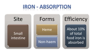 Site
Small
intestine
Forms
Heme
Non-haem
Efficiency
About 10%
of total
food iron is
absorbed
 