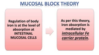 Regulation of body
iron is at the level of
absorption at
INTESTINAL
MUCOSAL CELLS
As per this theory,
iron absorption is
mediated by
intracellular Fe
carrier protein.
 