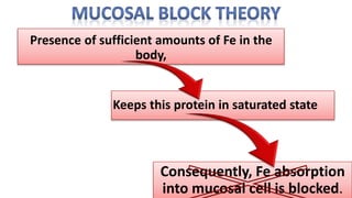 Presence of sufficient amounts of Fe in the
body,
Keeps this protein in saturated state
Consequently, Fe absorption
into mucosal cell is blocked.
 