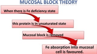 When there is Fe deficiency state
this protein is in unsaturated state
Fe absorption into mucosal
cell is favoured.
Mucosal block is removed
 