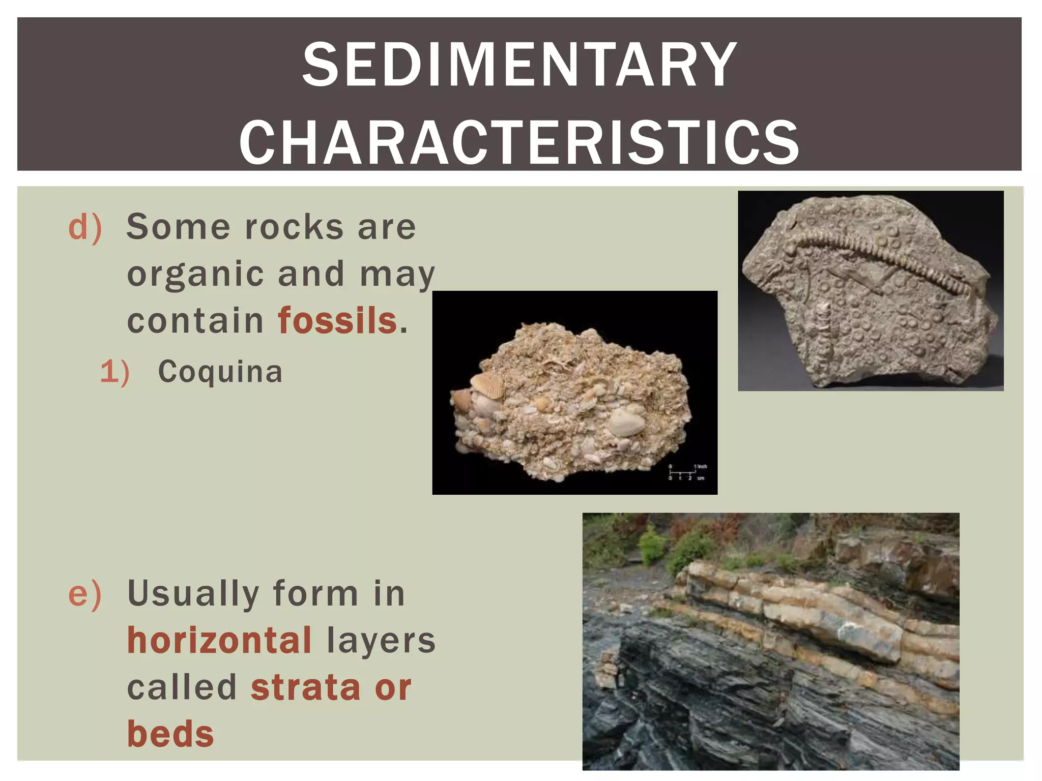 d) Some rocks are
organic and may
contain fossils.
1) Coquina
e) Usually form in
horizontal layers
called strata or
beds
SEDIMENTARY
CHARACTERISTICS
 