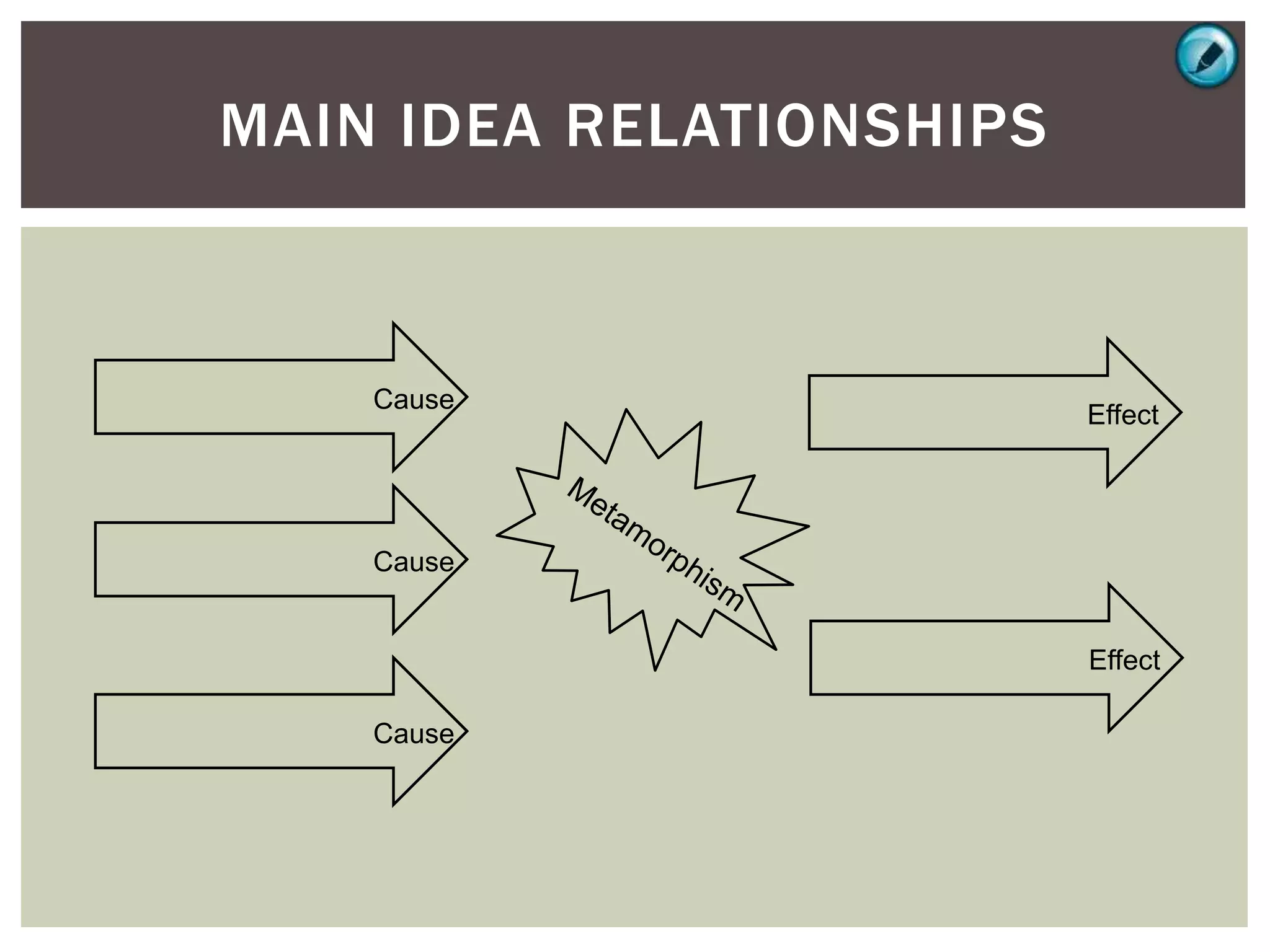 MAIN IDEA RELATIONSHIPS
Effect
Cause
Cause
Cause
Effect
 