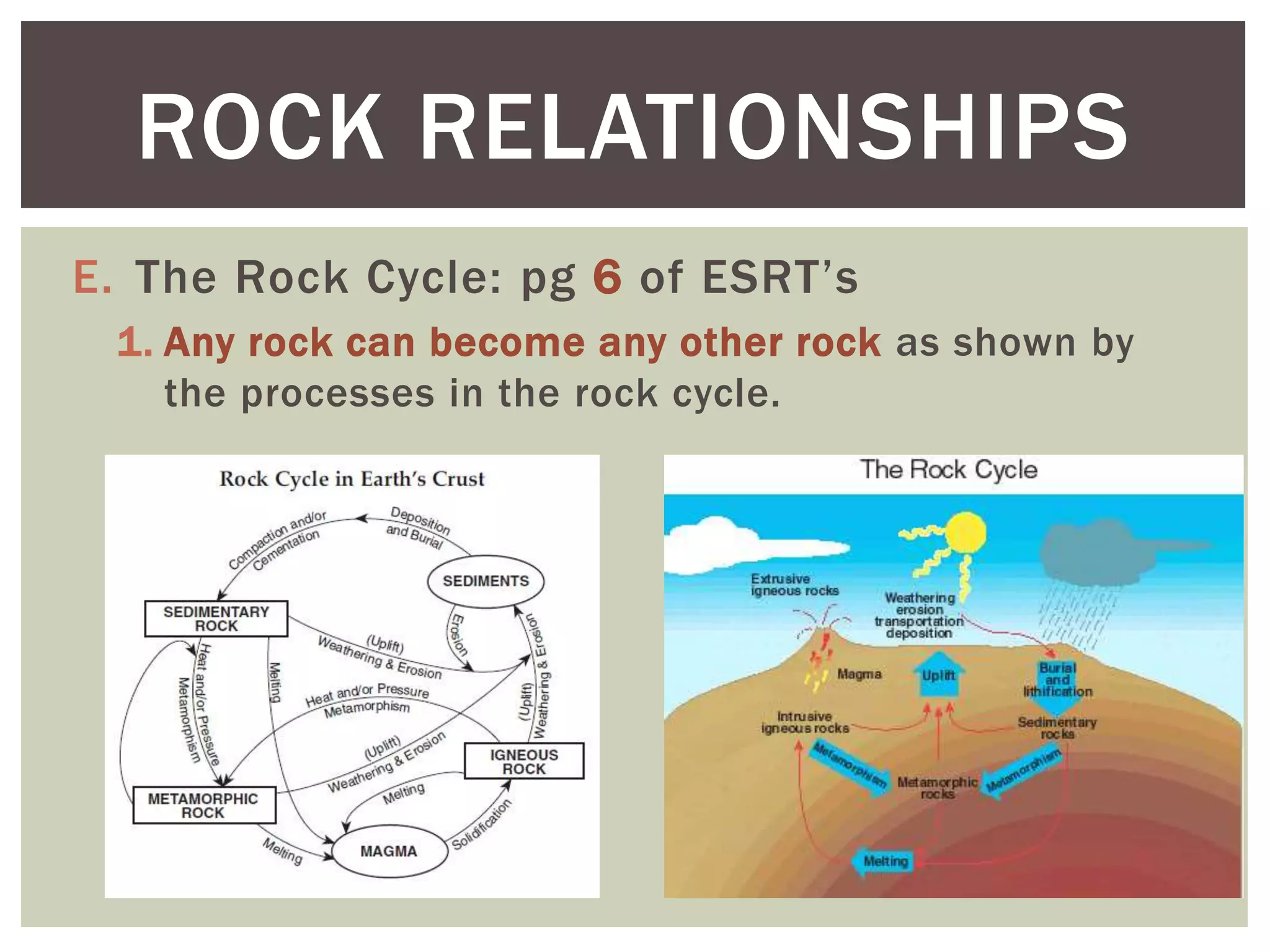 E. The Rock Cycle: pg 6 of ESRT’s
1. Any rock can become any other rock as shown by
the processes in the rock cycle.
ROCK RELATIONSHIPS
 