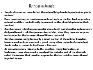 Nutrition in Animals
• Simple observation reveals that the animal kingdom is dependent on plants
  for food.
• Even meat-eating, or carnivorous, animals such as the lion feed on grazing
  animals and thus are indirectly dependent on the plant kingdom for their
  survival.
• Omnivores are miscellaneous species whose teeth and digestive systems seem
  designed to eat a relatively concentrated diet, since they have no large sac
  or chamber for the fermentation of fibrous material
• Carnivores necessarily form only a small portion of the animal kingdom,
  because each animal must eat a great many other animals of equivalent
  size in order to maintain itself over a lifetime.
• As an evolutionary response to this problem, many leaf eaters, or
  herbivores, have developed a pouch at the anterior end of the stomach,
  called the rumen, that provides a space for the bacterial fermentation of
  ingested leaves.
 