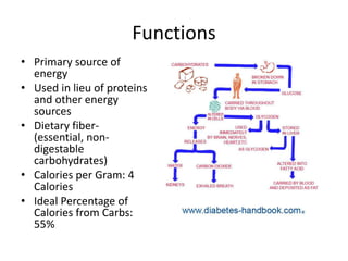 Functions
• Primary source of
  energy
• Used in lieu of proteins
  and other energy
  sources
• Dietary fiber-
  (essential, non-
  digestable
  carbohydrates)
• Calories per Gram: 4
  Calories
• Ideal Percentage of
  Calories from Carbs:
  55%
 