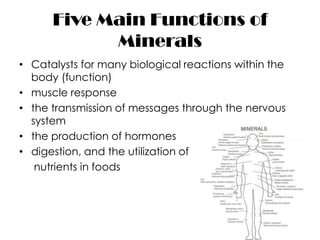 Five Main Functions of
            Minerals
• Catalysts for many biological reactions within the
  body (function)
• muscle response
• the transmission of messages through the nervous
  system
• the production of hormones
• digestion, and the utilization of
   nutrients in foods
 