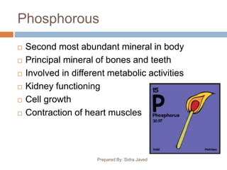 Phosphorous
 Second most abundant mineral in body
 Principal mineral of bones and teeth
 Involved in different metabolic activities
 Kidney functioning
 Cell growth
 Contraction of heart muscles
Prepared By: Sidra Javed
 