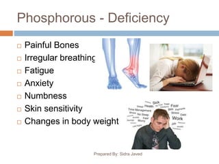 Phosphorous - Deficiency
Prepared By: Sidra Javed
 Painful Bones
 Irregular breathing
 Fatigue
 Anxiety
 Numbness
 Skin sensitivity
 Changes in body weight
 