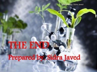 Prepared by, Sidra Javed
Prepared By: Sidra Javed
 