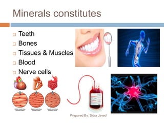 Minerals constitutes
 Teeth
 Bones
 Tissues & Muscles
 Blood
 Nerve cells
Prepared By: Sidra Javed
 