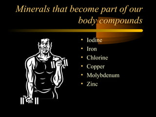 Minerals that become part of our 
body compounds 
• Iodine 
• Iron 
• Chlorine 
• Copper 
• Molybdenum 
• Zinc 
 