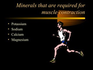 Minerals that are required for 
muscle contraction 
• Potassium 
• Sodium 
• Calcium 
• Magnesium 
 