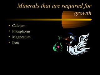 Minerals that are required for 
growth 
• Calcium 
• Phosphorus 
• Magnesium 
• Iron 
 