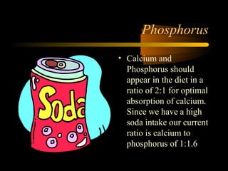 Phosphorus 
• Calcium and 
Phosphorus should 
appear in the diet in a 
ratio of 2:1 for optimal 
absorption of calcium. 
Since we have a high 
soda intake our current 
ratio is calcium to 
phosphorus of 1:1.6 
 