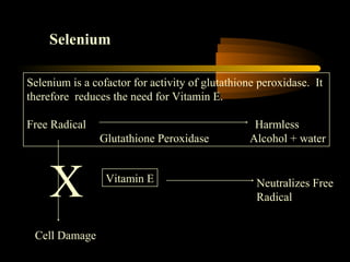 Selenium 
Selenium is a cofactor for activity of glutathione peroxidase. It 
therefore reduces the need for Vitamin E. 
Free Radical Harmless 
Glutathione Peroxidase Alcohol + water 
Radical X 
Cell Damage 
Vitamin E Neutralizes Free 
 