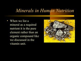 Minerals in Human Nutrition 
• When we list a 
mineral as a required 
nutrient it is the pure 
element rather than an 
organic compound like 
we discussed in the 
vitamin unit. 
 