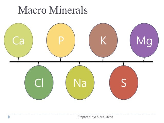 macro minerals macro minerals