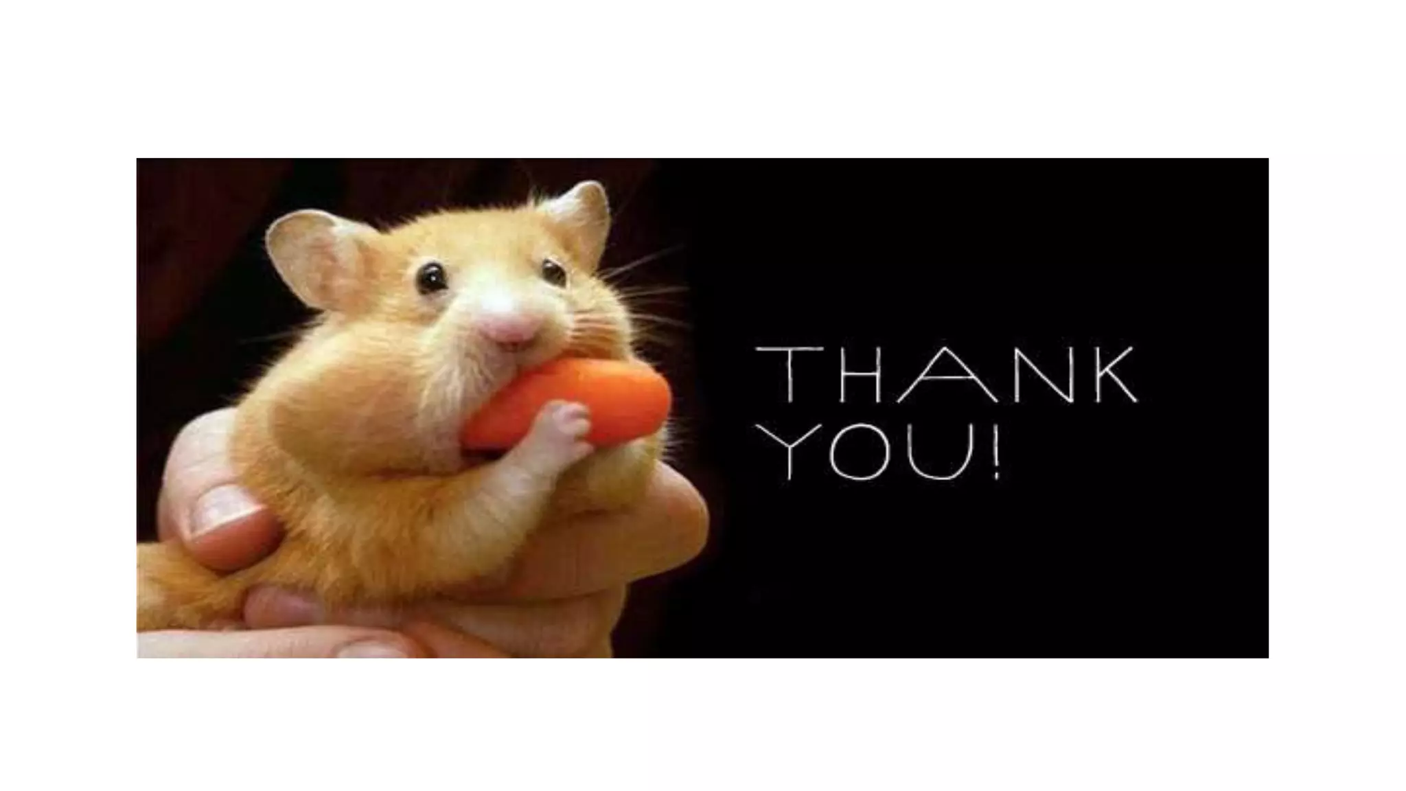 Minerals as Nutrients