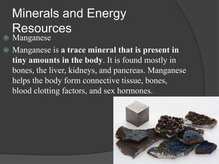Minerals and Energy
Resources
 Manganese
 Manganese is a trace mineral that is present in
tiny amounts in the body. It is found mostly in
bones, the liver, kidneys, and pancreas. Manganese
helps the body form connective tissue, bones,
blood clotting factors, and sex hormones.
 