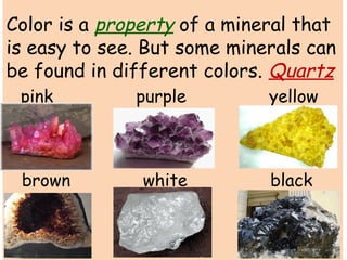 Color is a property of a mineral that 
is easy to see. But some minerals can 
be found in different colors. Quartz 
pink purple yellow 
brown white black 
 