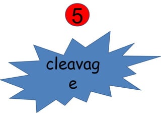 5 
cleavag 
e 
 
