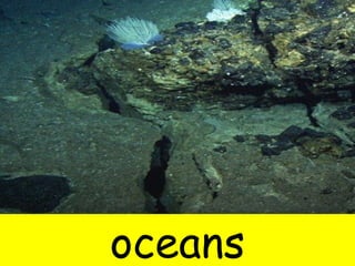 oceans 
 