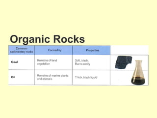 Organic Rocks
 