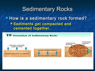 Sedimentary Rocks


How is a sedimentary rock formed?


Sediments get compacted and
cemented together.

 