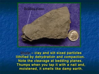 Bedding planes

Shale – clay and silt sized particles
lithified by dehydration and compaction.
Note the cleavage at bedding planes.
Thumps when you tap it with a nail and,
moistened, it smells like damp earth.

 