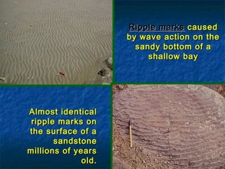 Ripple marks caused
by wave action on the
sandy bottom of a
shallow bay

Almost identical
ripple marks on
the surface of a
sandstone
millions of years
old.

 