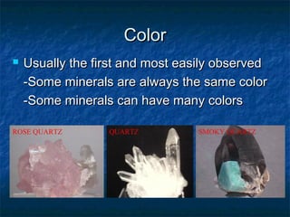 Color


Usually the first and most easily observed
-Some minerals are always the same color
-Some minerals can have many colors

ROSE QUARTZ

QUARTZ

SMOKY QUARTZ

 