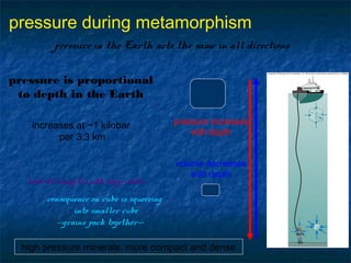 pressure during metamorphism
pressure in the Earth acts the same in all directions
pressure is proportional
to depth in the Earth
increases at ~1 kilobar
per 3.3 km

look at example with deep water

pressure increases
with depth
volume decreases
with depth

consequence on cube is squeezing
into smaller cube
--grains pack together-high pressure minerals: more compact and dense

 