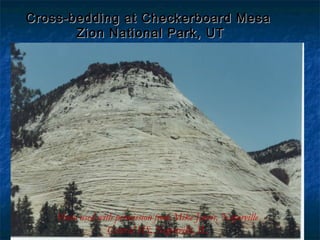 Cross-bedding at Checkerboard Mesa
Zion National Park, UT

Photo used with permission from Mike Jarvis, Naperville
Central HS, Naperville, IL

 